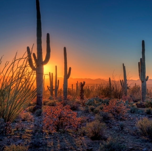 Meet your Posher, Lon - Picture 1 of 1